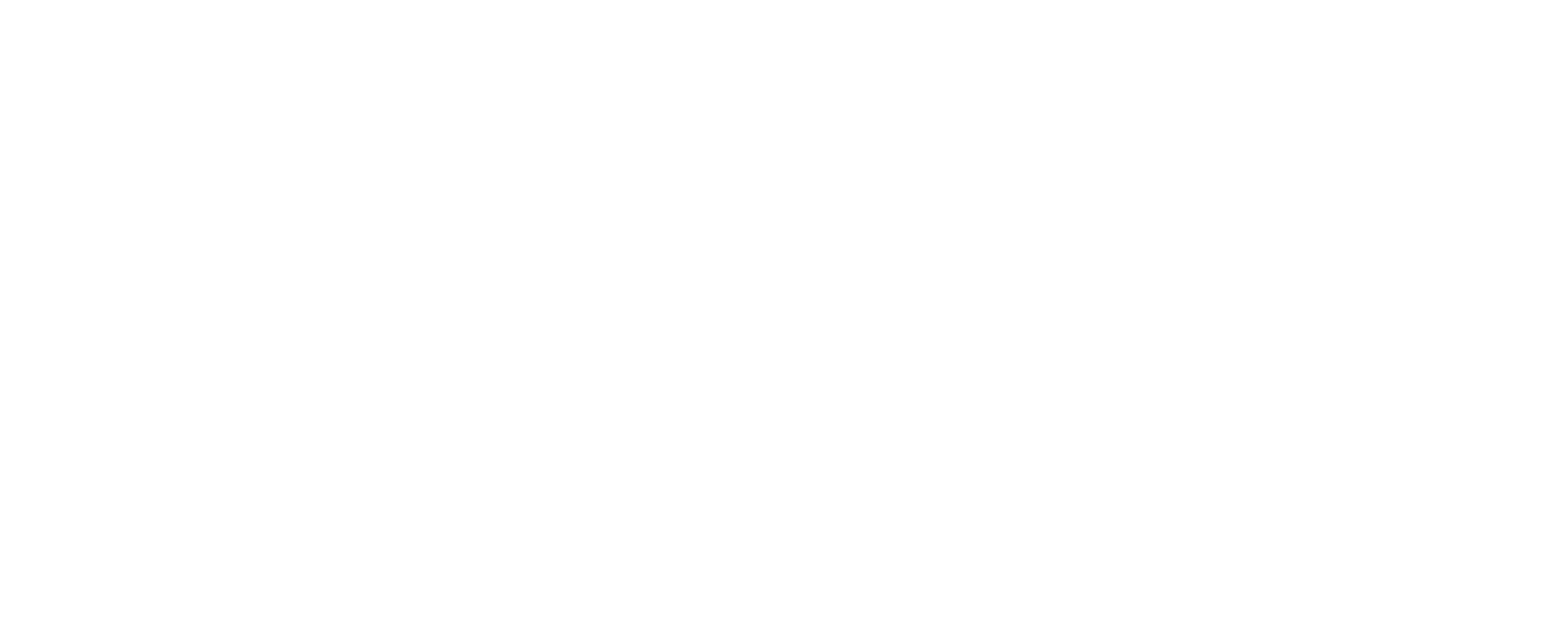 banner-logo-verizon